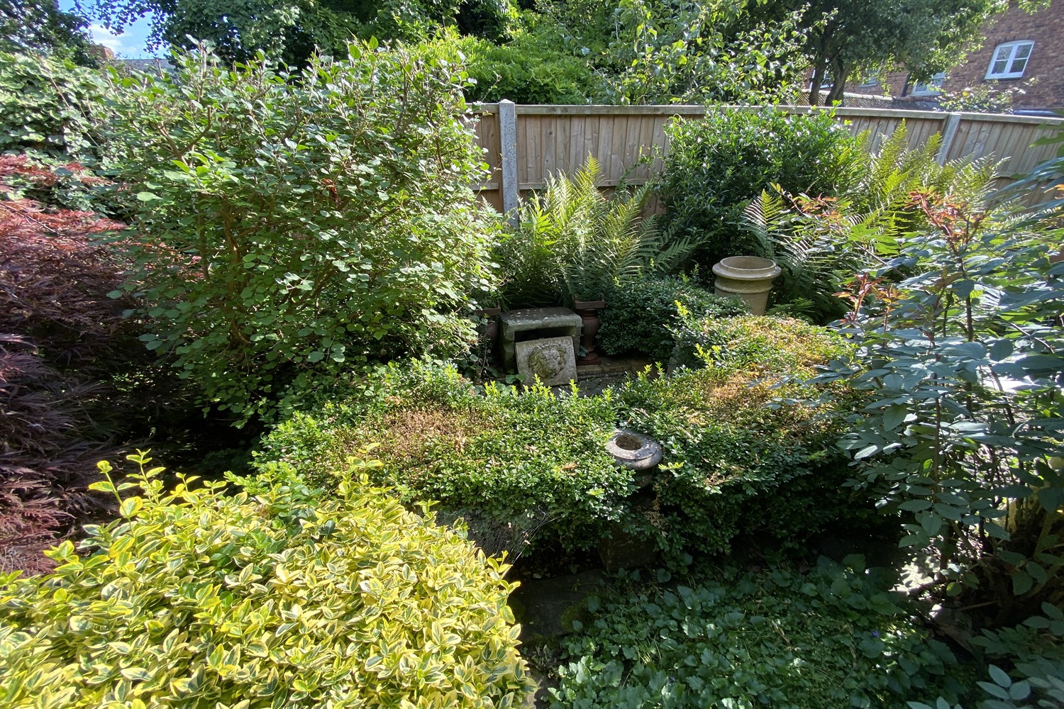 Garden 4 