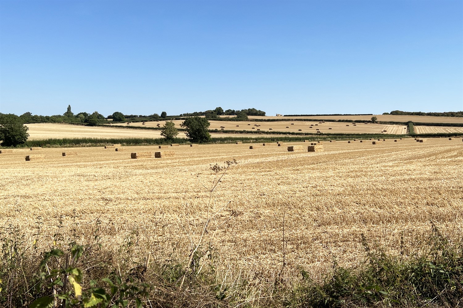 view with bales
