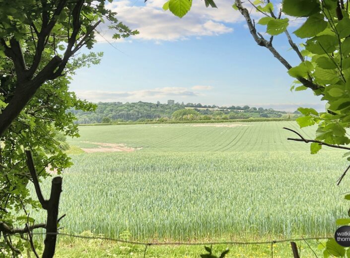 Cross Trees, Kings Caple, Herefordshire, HR1 4UD - photo 4