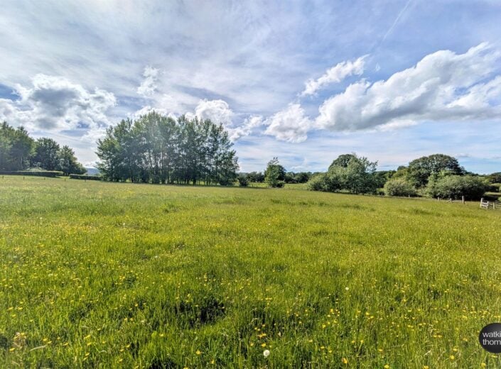 Springfield, Newton St. Margarets, Herefordshire, HR2 0QG - photo 14